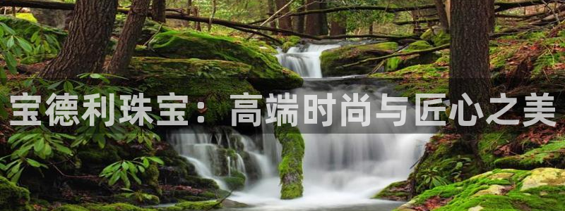 新宝股东张听2 5 5：宝德利珠宝：高端时尚与匠心之美