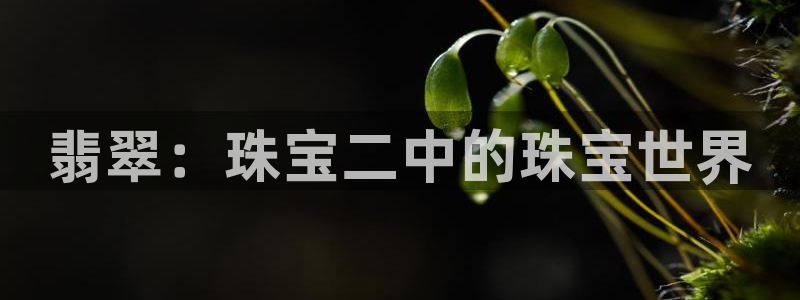 新宝5平台注册资金：翡翠：珠宝二中的珠宝世界