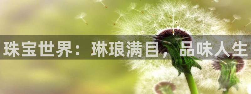 新宝5网站：珠宝世界：琳琅满目，品味人生