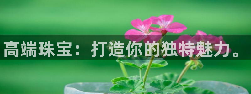 新宝5台卡：高端珠宝：打造你的独特魅力。