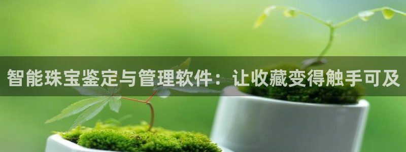 新宝5吴74OOO5：智能珠宝鉴定与管理软件：让收藏变得触手可及