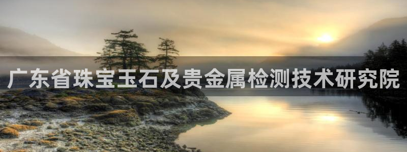 新宝5如何下载：广东省珠宝玉石及贵金属检测技术研究院