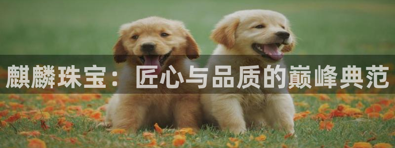 新宝5平台登录：麒麟珠宝：匠心与品质的巅峰典范