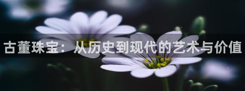 新宝5平台登录下载软件：古董珠宝：从历史到现代的艺术与价值