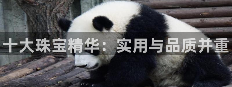 新宝5app手机下载：十大珠宝精华：实用与品质并重