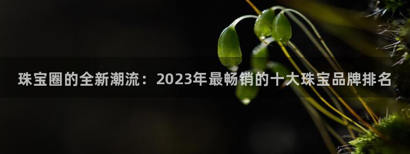 新宝5下载到桌面：珠宝圈的全新潮流：2023年最畅销的十大珠宝品牌排名