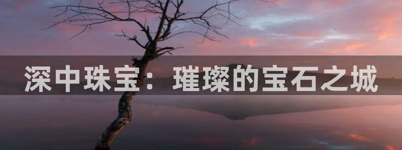 新宝5日740005蔻：深中珠宝：璀璨的宝石之城