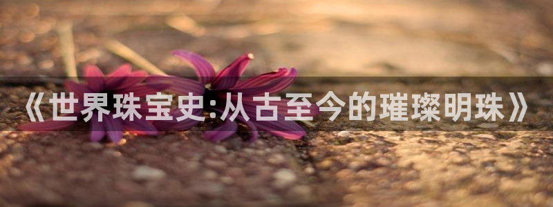 新宝注5册：《世界珠宝史:从古至今的璀璨明珠》