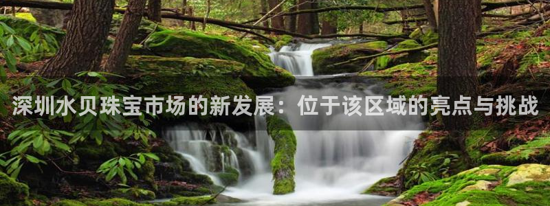 新宝5手机测速：深圳水贝珠宝市场的新发展：位于该区域的亮点与挑战