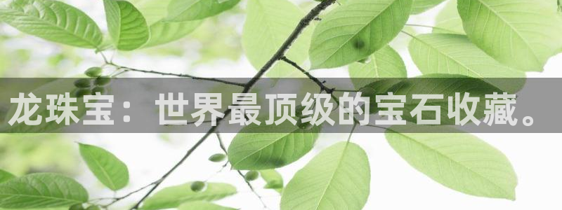 新宝5球维33 300：龙珠宝：世界最顶级的宝石收藏。