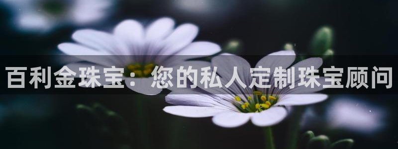 新宝5官方登录入口：百利金珠宝：您的私人定制珠宝顾问