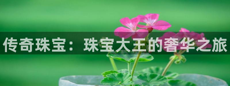 新宝新5：传奇珠宝：珠宝大王的奢华之旅