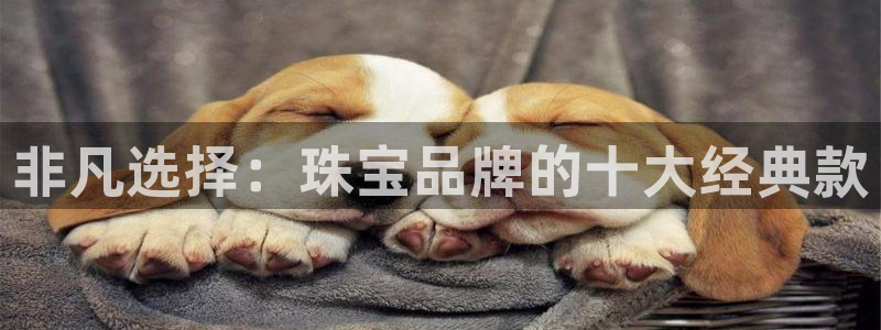 新宝5挂机软件：非凡选择：珠宝品牌的十大经典款
