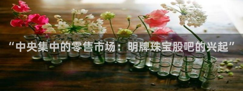 新宝5注册链接：“中央集中的零售市场：明牌珠宝股吧的兴起”