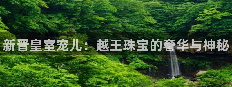 新宝5平台登录注册：新晋皇室宠儿：越王珠宝的奢华与神秘