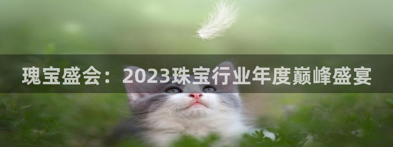 新宝5平台登录注册：瑰宝盛会：2023珠宝行业年度巅峰盛宴