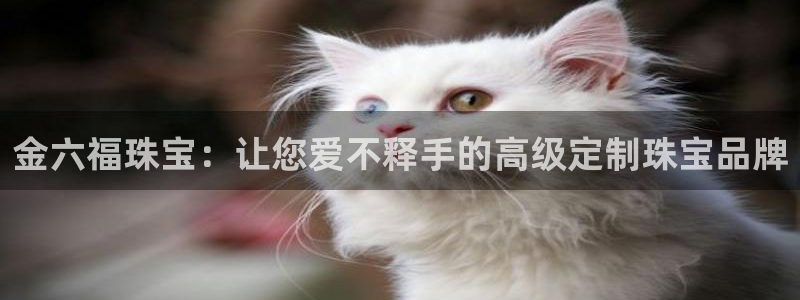 新宝m2O5O5O：金六福珠宝：让您爱不释手的高级定制珠宝品牌