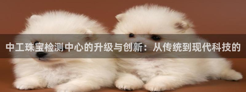 新宝5彩票平台登陆：中工珠宝检测中心的升级与创新：从传统到现代科技的