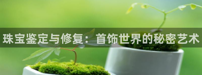 新宝5登录地址：珠宝鉴定与修复：首饰世界的秘密艺术