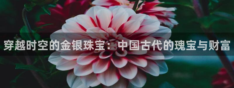 新宝速5：穿越时空的金银珠宝：中国古代的瑰宝与财富