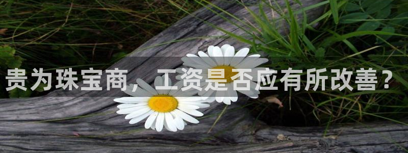 新宝5球维33 300：贵为珠宝商，工资是否应有所改善？