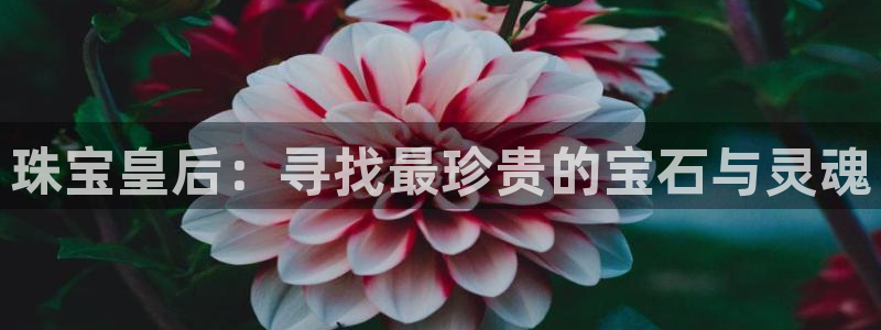新宝股东王听2 5 5