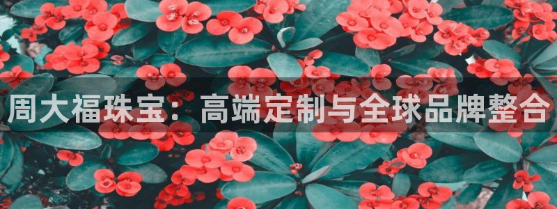 新宝5网站