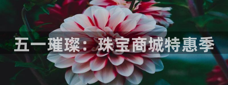 新宝5平台霸